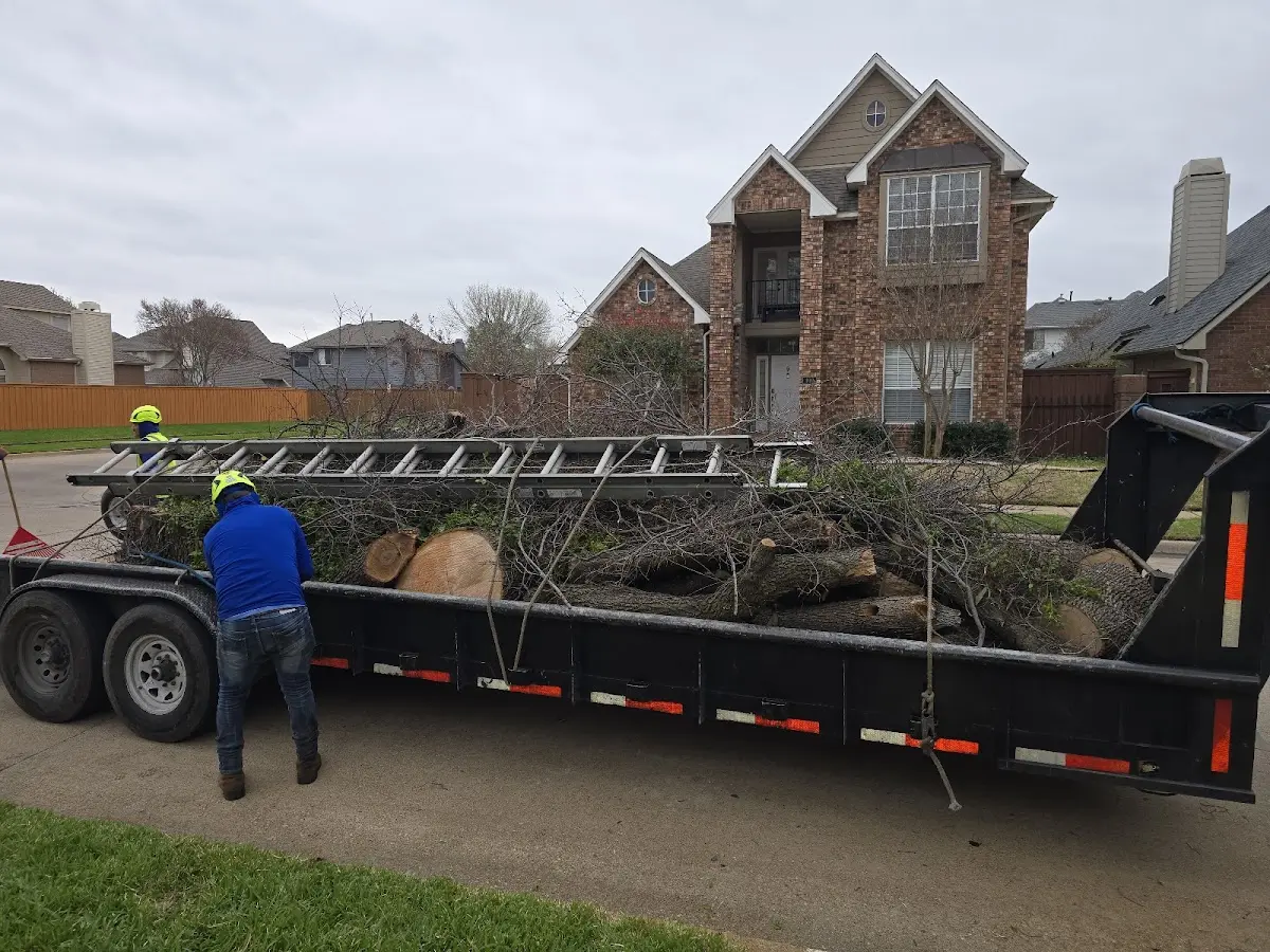 Expert Tree Removal with proper safety equipment in Fayette